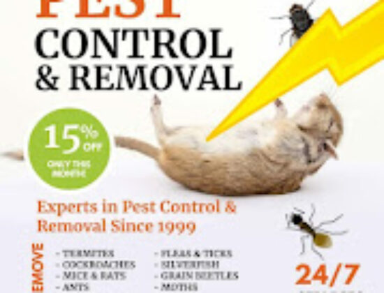 Professional pest control services
