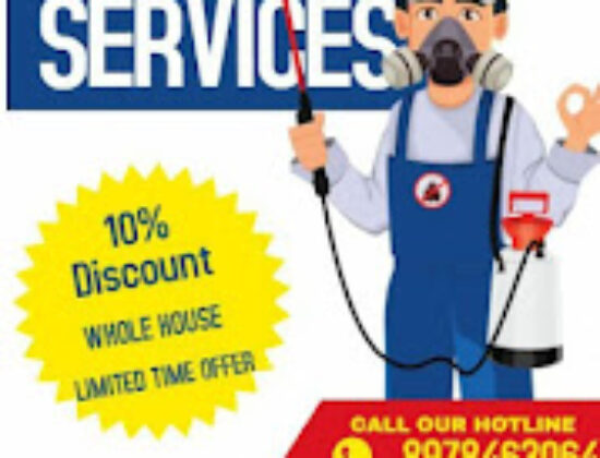 Professional pest control services