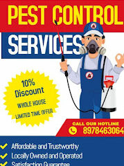 Professional pest control services