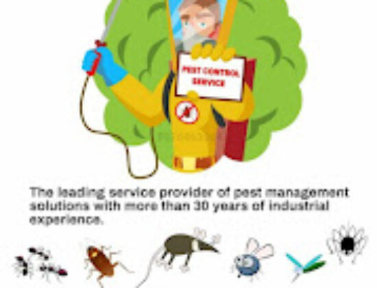 Professional pest control services