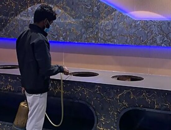 Pestocure Pest Control Services Nizampet