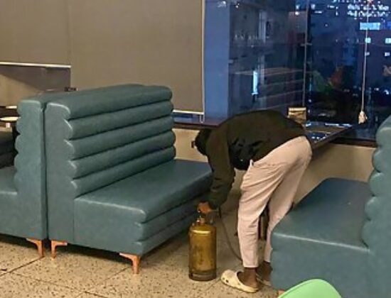 Pestocure Pest Control Services Nizampet