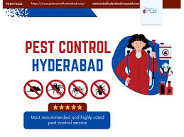 Pest Control Hyderabad (PCH)