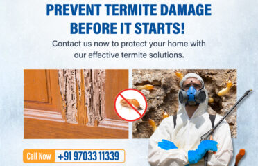 Termite Control Services in Hyderabad