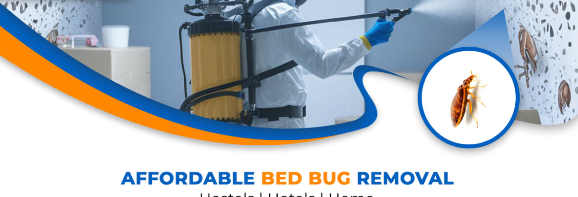 Bed Bug Pest Control Services