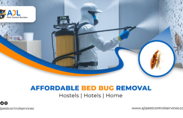 Bed Bug Pest Control Services
