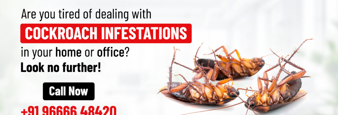Best Cockroach Control Services in Hyderabad