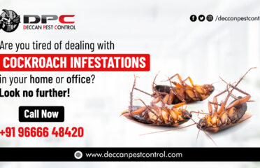 Best Cockroach Control Services in Hyderabad