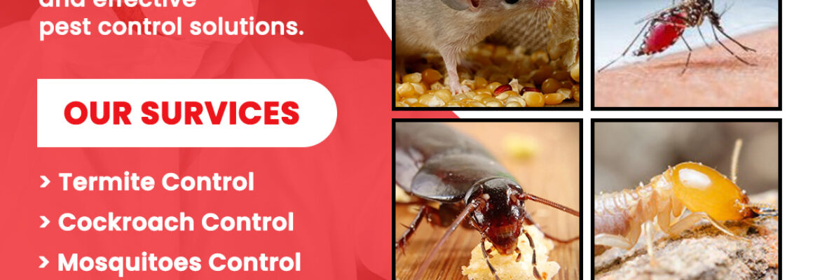 Best Pest Control Services in Hyderabad