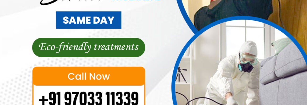 Best Pest Control Services in Hyderabad