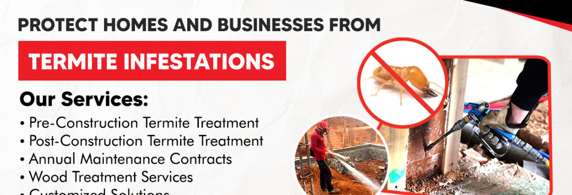 Best Termite Control Services in Hyderabad