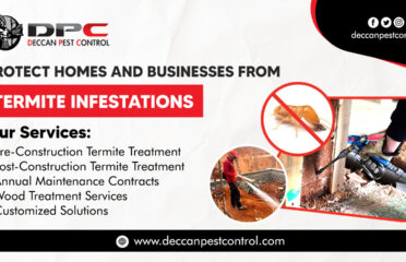 Best Termite Control Services in Hyderabad