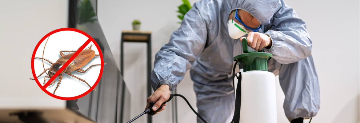 Cockroach Pest Control in Hyderabad