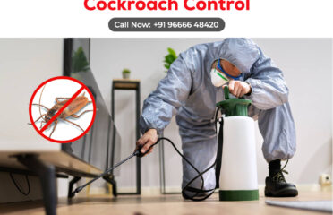 Cockroach Pest Control in Hyderabad