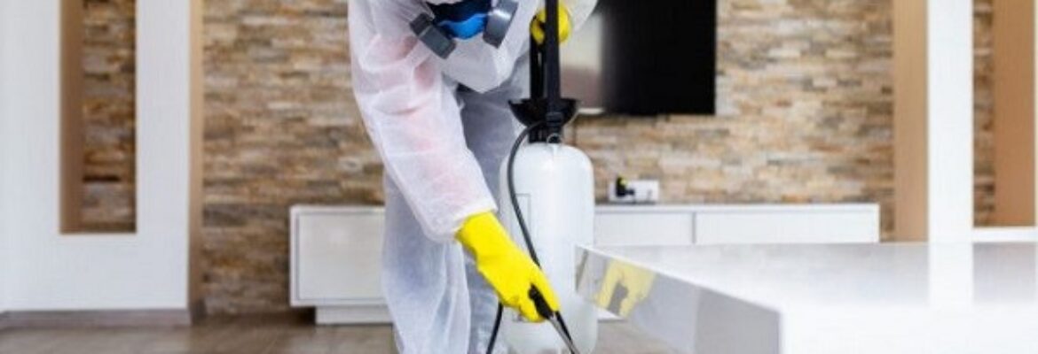 Commercial Pest Control Services in Hyderabad