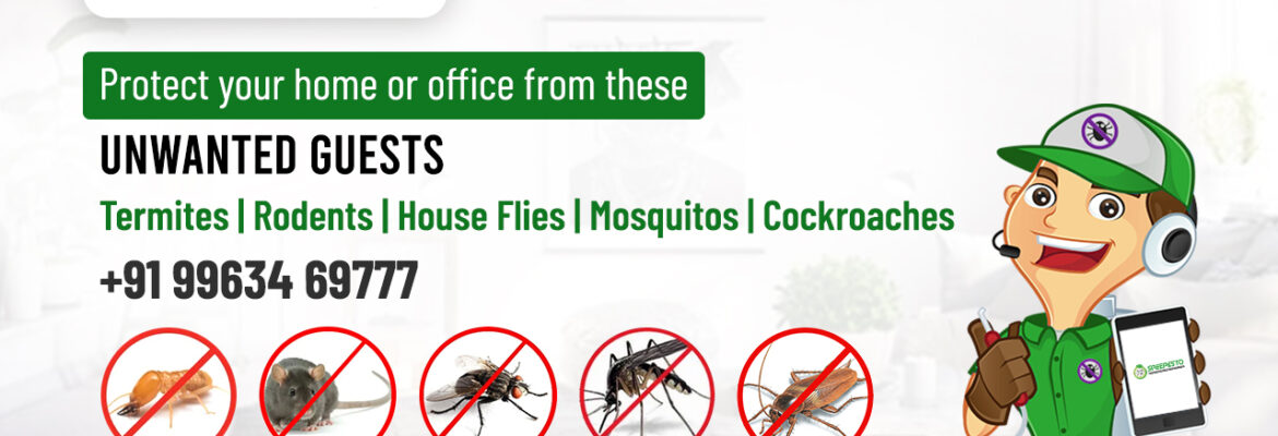 Commercial Pest Control Services in Hyderabad