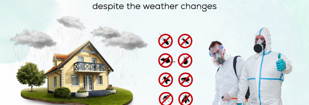 Pest Control Services in Hyderabad