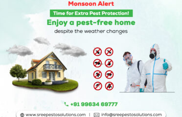Pest Control Services in Hyderabad