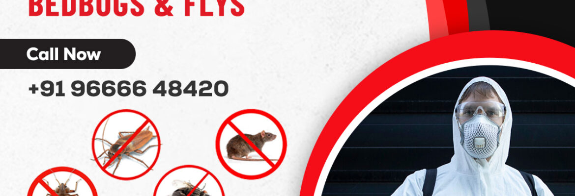 Pest Control in Hyderabad