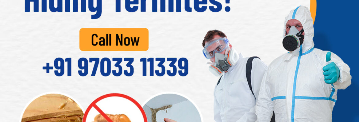 Termite Control Services