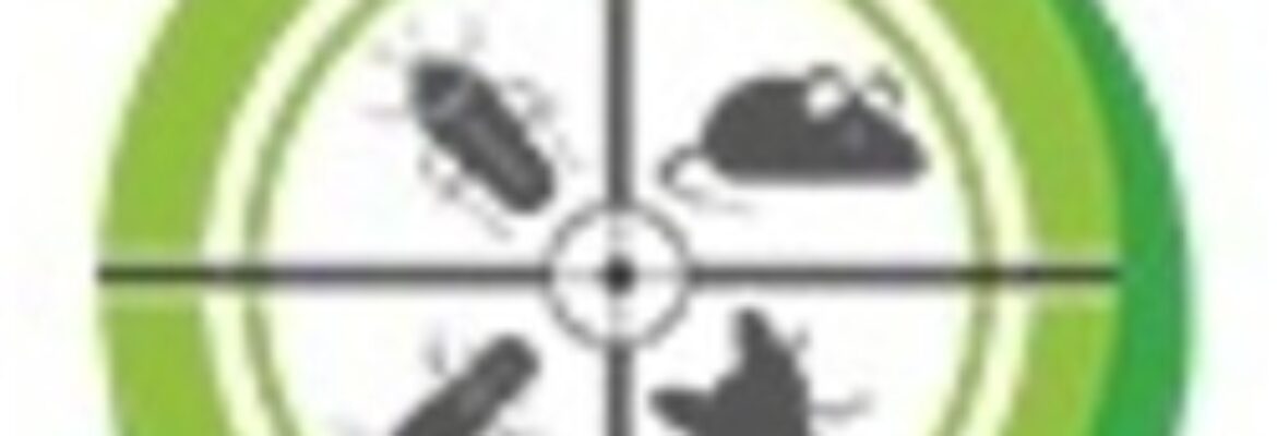 Termite Control Services in Hyderabad