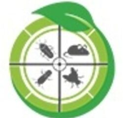 Termite Control Services in Hyderabad